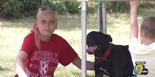 Keystone city council to meet about county dangerous animal ordinance