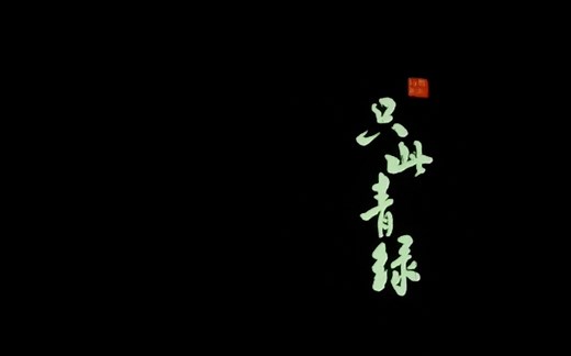 《只此青绿》首演首场 谢幕 20210820 北京·国家大剧院·歌剧厅