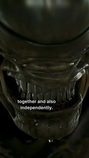 太震撼了！😲《Alien: Earth》剧组竟然打造出可遥控的异形模型，逼真到让人起鸡皮疙瘩！💕 #AlienEarth #异形 #科幻迷必看 #超逼真模型 #电影幕后 #AlienFans #帅到炸 | Spotlite城人誌