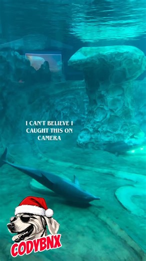 Cody Banx on Instagram: "Brain fart circle"