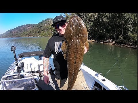 The BIGGEST Flathead I’ve Ever Seen - Crocodile Hunting In The Hawkesbury River - Fishing Australia