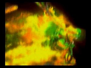 Dynasty Warriors 4: Opening