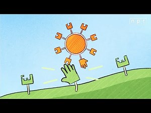 VIDEO: An Easy Way To Understand Coronavirus Variants — Using Puzzle Pieces