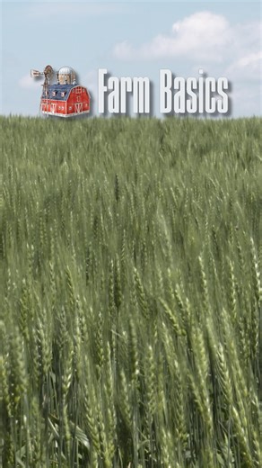 24K views · 157 reactions | Learn why farmers choose to plant their wheat in the fall instead of the spring or vice versa.#agphd #farmbasics #agriculture #tvshow #wheat | Ag PhD | Facebook