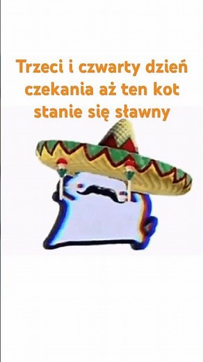 Day 4 and 5 of waiting for this cat to become famous