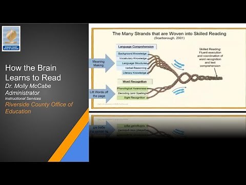 How the Brain Learns to Read (Part 1- 4)