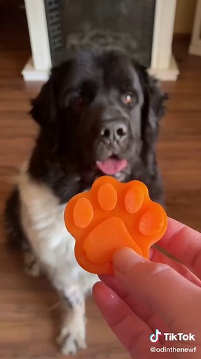 Homemade Frozen Carrot Dog Treats Recipe