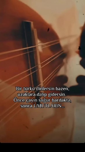 Exploring the Beauty of Stringed Musical Instruments