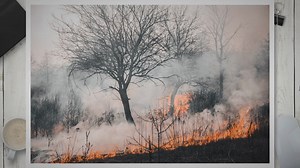 Examples of Wildfires: Unleashing the Fury of Nature