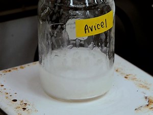 Viral Concentration Determination Through Plaque Assays: Using Traditional and Novel Overlay Systems