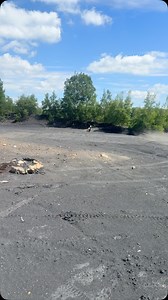 133 reactions | Finding her flow and pushing limits on the dirt bike ⚡ Testing new skills, chasing progress, and living the Fearless Life—one throttle twist at a time  #FearlessLife #RideFree” | Fearlesslifeteam | Facebook