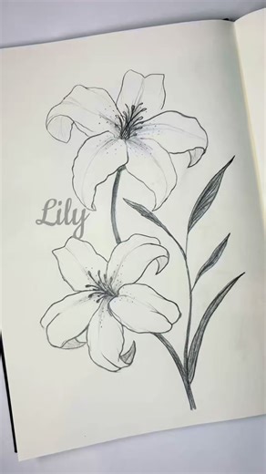 Easy lily drawing tutorial 💜🪻 #lily #flowerdrawing #tutorialdrawing #easydrawing #howtodraw