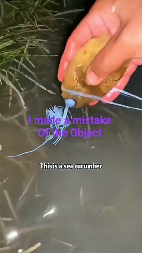 ... I made a mistake with the Object