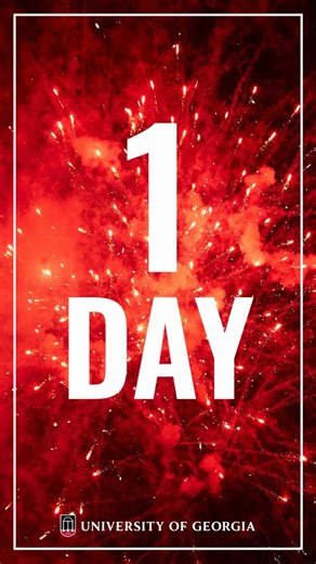UGA Admissions | What will YOUR firework story be? With Early Action decisions for GA residents just ONE DAY away, we’re sharing more “Firework Moments” to... | Instagram