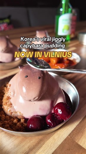 These viral CAPYBARA puddings might be the cutest thing ever in Vilnius 🥰🥺 Available at GOGI GUY (Pylimo st. 46, Vilnius & Naugarduko st. 12, Vilnius) ❤️🔥 #capybaravilnius #cutestdessert #viraldesserts #viral_video #restaurantvilnius #koreanfoodvilnius #foodinvilnius #bestdessertever 🇰🇷🥰