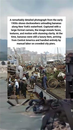 Unloading Bananas in Early New York