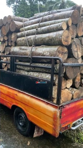 L300 is powerful, not reinforced