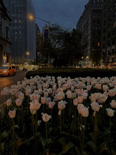 Understanding the Meaning of 'Allahu Akbar'