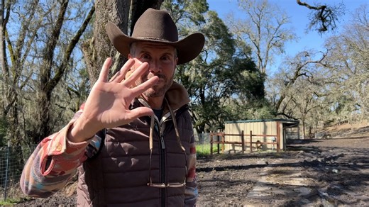Our senior donkey pasture recently got a glow up… thanks to YOU! Because senior donkeys require some extra TLC, their pasture now has: 💚 Special pea gravel to provide additional comfort for their hooves 🔥 4 electric heaters that keep them warm in the winter and at night 🌾 Shredded and soaked grains for easier chewing 💧 Heated water to encourage hydration (drinking cold water can be painful for senior donkeys who have bad teeth) Thank you for helping our seniors live out their final chapter i