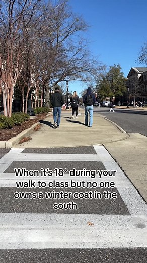 Perks of growing up in Indiana ig #south #polarvortex #cold