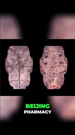Oracle Bone Script: Ancient Chinese Writing Discovery