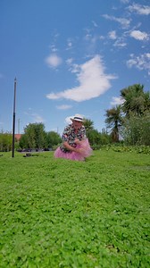 Dichondra Repens is a beautiful & lush ground cover that can be grown in full sun or deep shade. It requires a little bit of water and fertilizer. You can pop it around pavers, or grow it in shady corners where you can't grow grass! It's really handy if you want something flat and green that you don't have to mow!! Check out Dichondra Repens at the link in the bio! #plants #garden #lawn #gardening | Hello Hello Plants & Garden Supplies