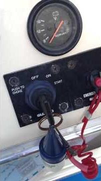 Suzuki DF115. Doesn't start.