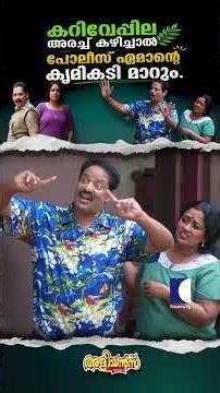 കറിവേപ്പില അരച്ച് കഴിച്ചാൽ പോലീസ് ഏമാൻ്റെ കൃമികടി മാറും #Aliyans #comedyserial
