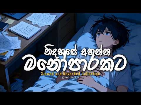 Manoparakata Sindu | 🥺 ❤️ | මතක අවුස්සන සිංදු | New Sinhala Songs Collection | Mind Relaxing Songs