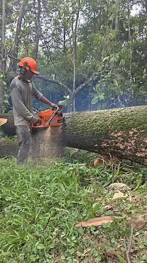 Ful power | Suprapto