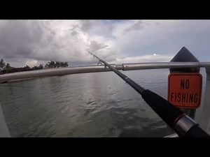 Fishing at Caxambas Park, Marco Island Florida.