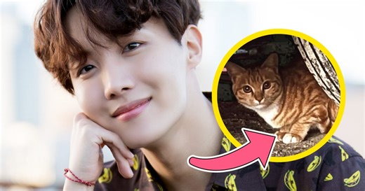 BTS's J-Hope Would Love To Get A Cat One Day - Here's What He Has In Mind For A Name