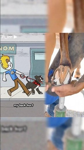 What did I do to deserve this? #animation #funny #meme #cartoon #haminations #lol