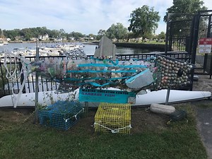 What Is That Thing? The Giant Harbor Island Garbage Fish