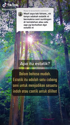 Understanding Aesthetic: Definition and Meaning