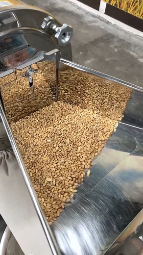 16K views · 244 reactions | The ultra-fine disc mill grinds the barley into flour and automatically removes the skin.#discmill #machinery #farmer | Dawn Agro Machinery | Facebook