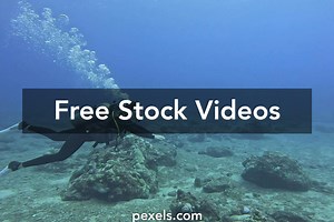 Sport Swimming Videos, Download The BEST Free 4k Stock Video Footage & Sport Swimming HD Video Clips