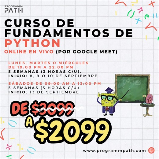 Programm Path on TikTok