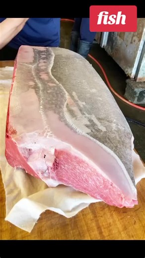 Mastering Fish Cutting Skills