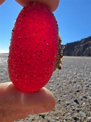 Amazing Seaglass Discovery on the Beach