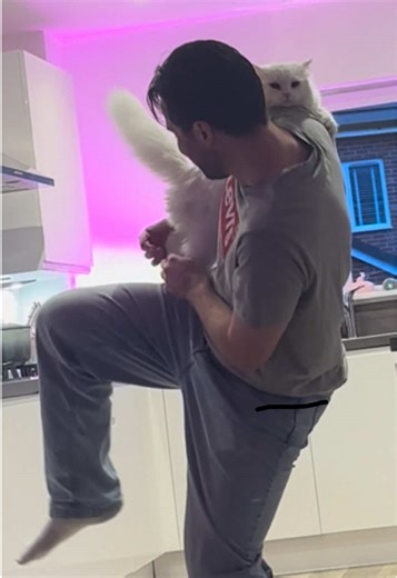 Pancake the Siberian Cat Steals the Show