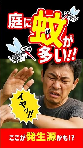[Clean it before summer!] This might be the reason why there are so many mosquitoes in your yard?...