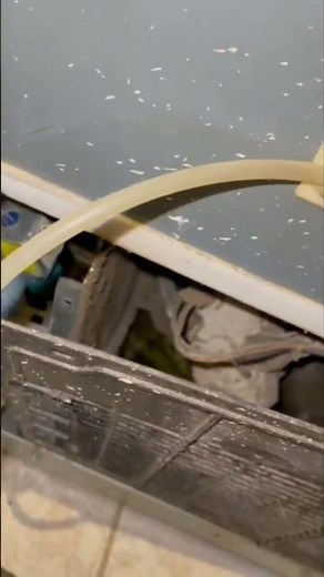 How to Fix Maytag Refrigerator Leaking Water #shorts #appliancerepair #fridge #diyrepair #maytag