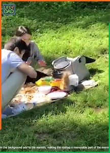 37K views · 318 reactions | Laugh Tracks of Life: Unscripted Follies  | Awesome World | Facebook