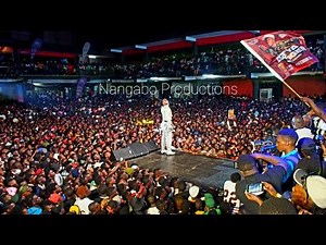 Alien Skin Concert Live at Freedom City