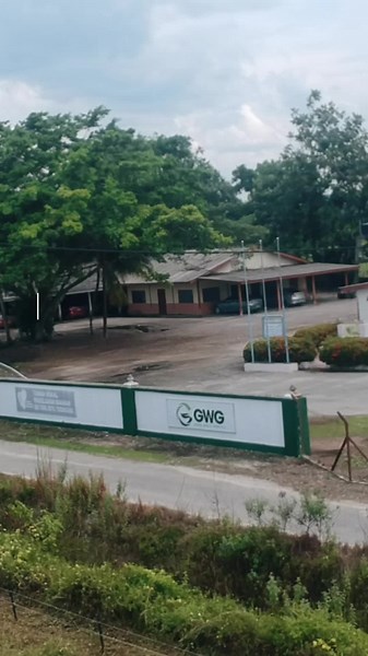 🌿🚜 The Virtual Farm Tour Continues! 🚜🌿 Join us as we explore papaya cultivation at GWG Rhu Tapai Farm! 🍈✨ Here, we cultivate premium agriculture with care and innovation. 🌱 Stay tuned for more tours & take a guess—where will our next stop be? 🤔🔍 #GWGVirtualTour #PapayaCultivation #PremiumAgriculture #RhuTapaiFarm #StayTuned