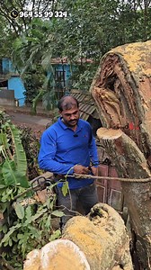 137K views · 1K reactions | Webbing belt 1 Ton Capacity  | Village Woodpecker | Use Safety Equipment's #TreeCutting #SafetyEquipments #VillageWoodpecker #treeCuttingTools #Chainsaw #TreeCuttingRope #TreeCuttingSpike #TreeCuttingTraining #SafetyBelt #SafetyShoe #TreeCuttingTips #മരംവെട്ടൽ #TreeCuttingRisk #DangerousTreeCutting #WebbingBelt | Village Woodpecker | Facebook