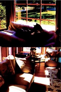 Aberration of Starlight (2008) - Movie