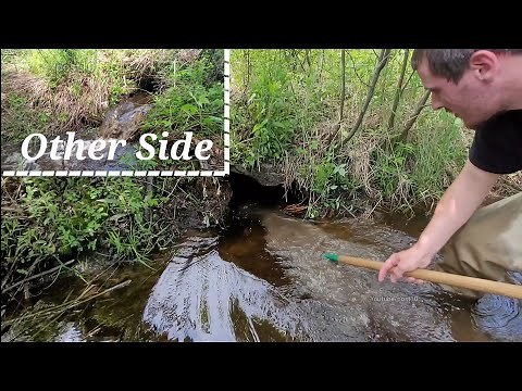 Unclogging Double Ended Culvert Clogs