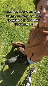 36K views · 1.1K reactions | Who’s gonna tell them廊 #babygoats #milking #cutegoats #farmer #goats #reels | Goat Daddy's Farm | Facebook